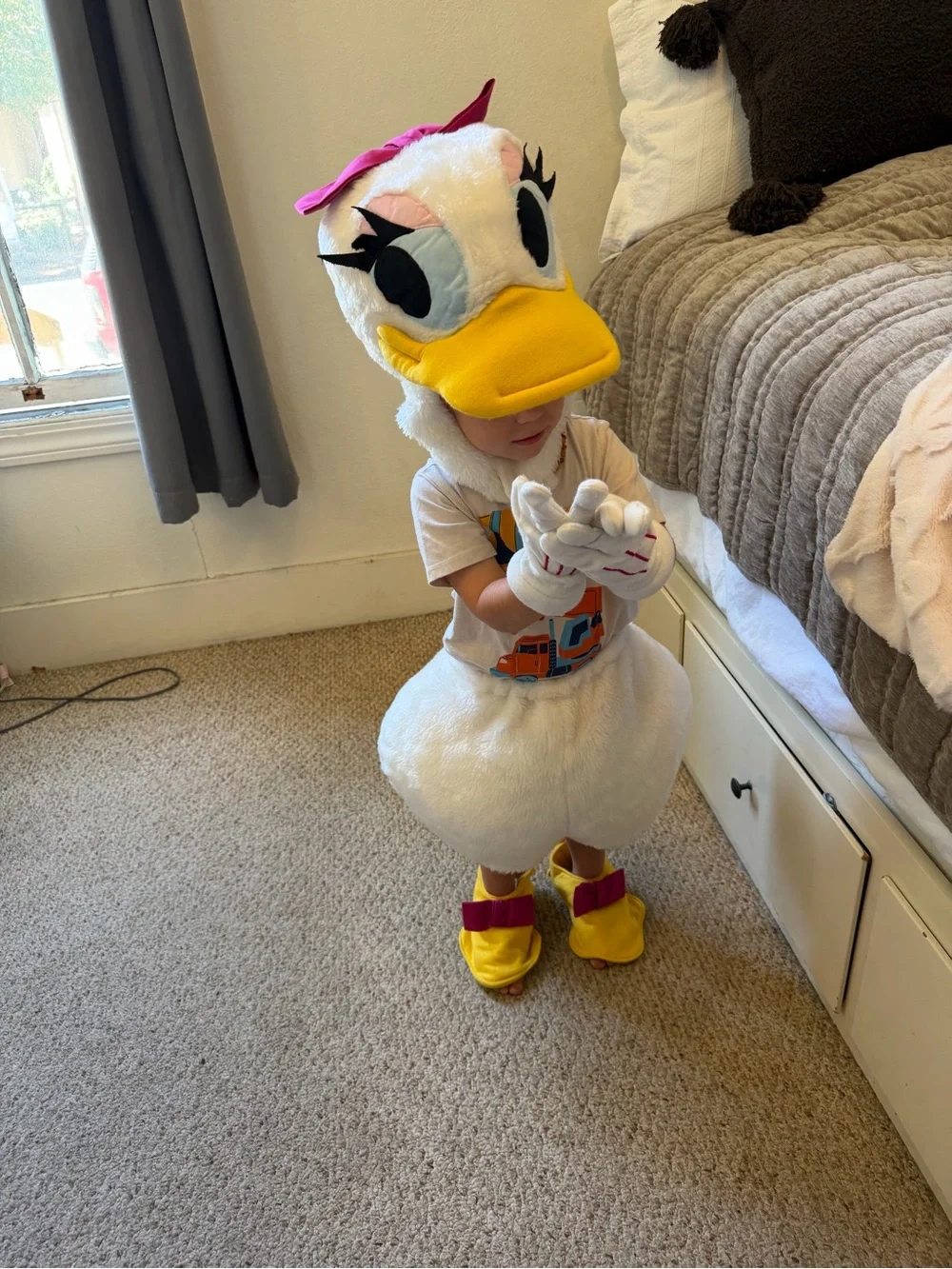 Disney soft white
